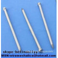 common nails cheap twisted coil nails(hot sale)